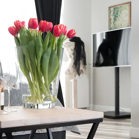 Laser Studio Apartment *